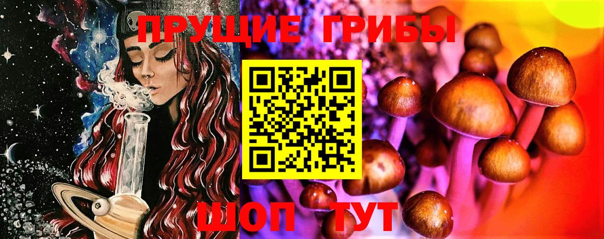 Псилоцибиновые грибы Magic Shrooms Будённовск