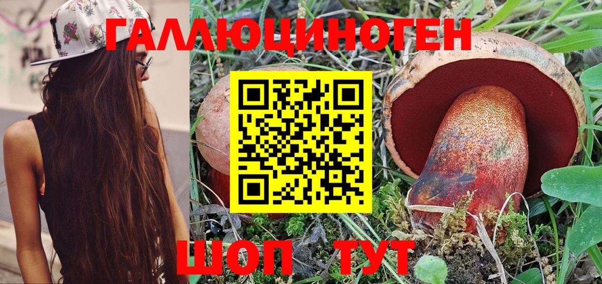 дарнет шоп  Вход с VPN  Будённовск  Псилоцибиновые грибы мицелий 